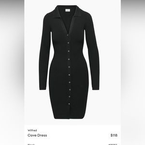 NEVER WORN Aritzia Button Up Dress